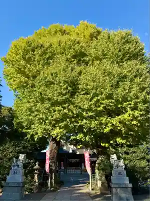 亀ケ池八幡宮(神奈川県)
