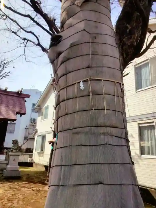 高田馬場天祖神社(東京都)
