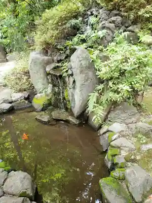熊野神社(東京都)
