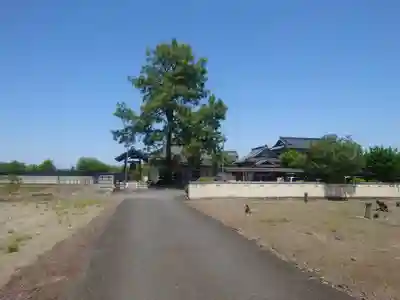 東陽寺(埼玉県)