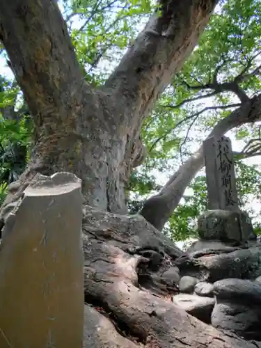 六代山不動院の自然