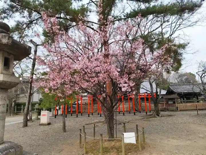 豊国神社の{uncategorized: "未分類", other: "その他", undefined: "問題あり", building: "その他建物", grave: "お墓", sacred_gate: "鳥居", guardian: "狛犬", statue: "像", buddha: "仏像", history: "歴史", nature: "自然", garden: "庭園", animal: "動物", pagoda: "塔", temizu: "手水舎", mountain_gate: "山門・神門", sanctuary: "本殿・本堂", subordinate: "末社・摂社", art: "芸術", scenery: "景色", jizo: "地蔵", ema: "絵馬", goshuin: "御朱印", omikuji: "おみくじ", items: "授与品その他", amulet: "お守り", goshuincho: "御朱印帳", eats: "食事", festival: "お祭り", votive_dance: "神楽", shichigosan: "七五三参", wedding: "結婚式", experience: "体験その他", initially: "初詣", around: "周辺", anti_infection: "感染症対策"}