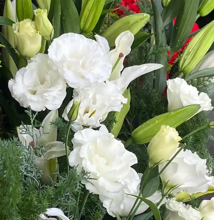 上尾御嶽神社の手水舎