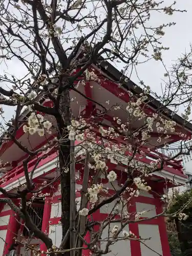 成子天神社(東京都)