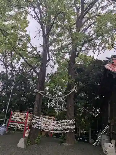 多摩川浅間神社(東京都)