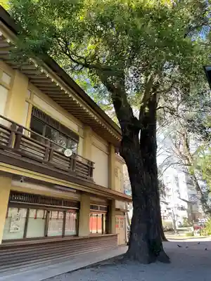 谷保天満宮(東京都)