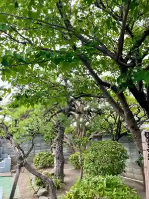 大運寺(神奈川県)