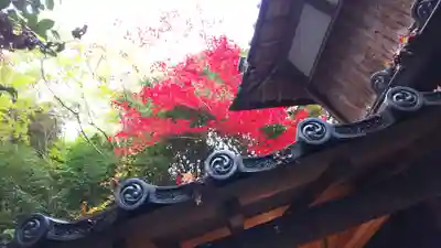 柳谷観音　楊谷寺のその他建物