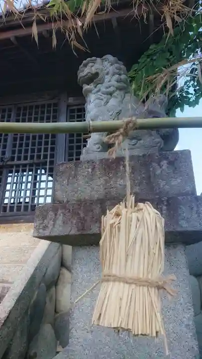 白山社(井堀)の狛犬