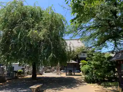 満願寺のその他建物