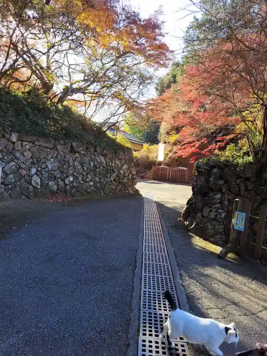 唐澤山神社(栃木県)