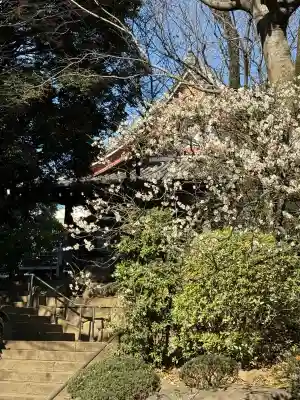 長仙寺の{uncategorized: "未分類", other: "その他", undefined: "問題あり", building: "その他建物", grave: "お墓", sacred_gate: "鳥居", guardian: "狛犬", statue: "像", buddha: "仏像", history: "歴史", nature: "自然", garden: "庭園", animal: "動物", pagoda: "塔", temizu: "手水舎", mountain_gate: "山門・神門", sanctuary: "本殿・本堂", subordinate: "末社・摂社", art: "芸術", scenery: "景色", jizo: "地蔵", ema: "絵馬", goshuin: "御朱印", omikuji: "おみくじ", items: "授与品その他", amulet: "お守り", goshuincho: "御朱印帳", eats: "食事", festival: "お祭り", votive_dance: "神楽", shichigosan: "七五三参", wedding: "結婚式", experience: "体験その他", initially: "初詣", around: "周辺", anti_infection: "感染症対策"}
