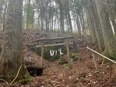 夏井諏訪神社の{uncategorized: "未分類", other: "その他", undefined: "問題あり", building: "その他建物", grave: "お墓", sacred_gate: "鳥居", guardian: "狛犬", statue: "像", buddha: "仏像", history: "歴史", nature: "自然", garden: "庭園", animal: "動物", pagoda: "塔", temizu: "手水舎", mountain_gate: "山門・神門", sanctuary: "本殿・本堂", subordinate: "末社・摂社", art: "芸術", scenery: "景色", jizo: "地蔵", ema: "絵馬", goshuin: "御朱印", omikuji: "おみくじ", items: "授与品その他", amulet: "お守り", goshuincho: "御朱印帳", eats: "食事", festival: "お祭り", votive_dance: "神楽", shichigosan: "七五三参", wedding: "結婚式", experience: "体験その他", initially: "初詣", around: "周辺", anti_infection: "感染症対策"}