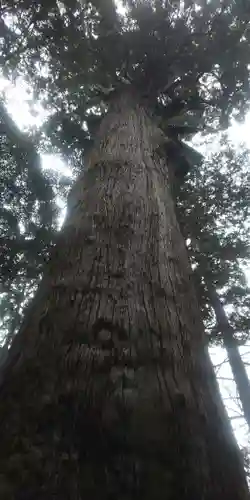 麻賀多神社(千葉県)