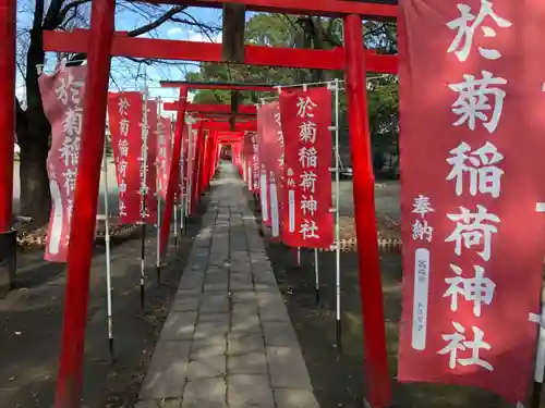 於菊稲荷神社の鳥居