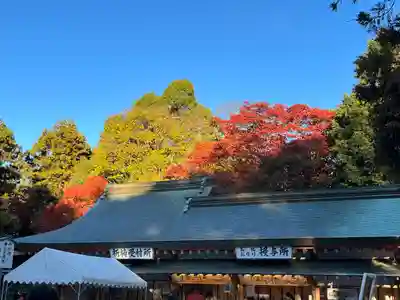 石清水八幡宮(京都府)