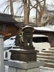 札幌諏訪神社の狛犬