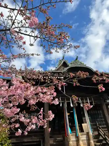 桜神宮(東京都)