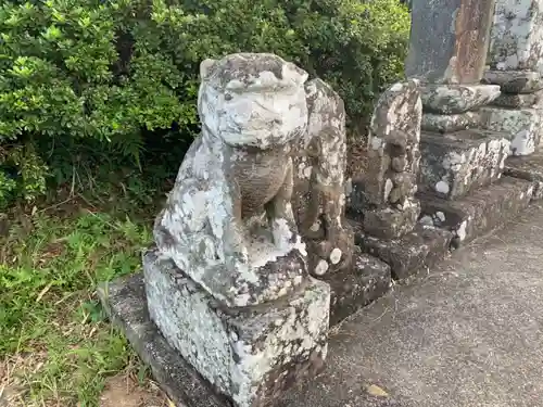 普門寺の狛犬