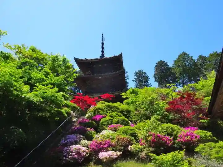 常樂寺(滋賀県)