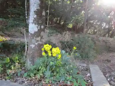 海神神社(長崎県)