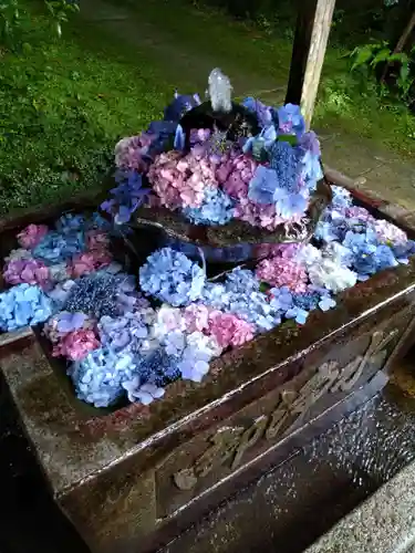 観音寺の手水舎