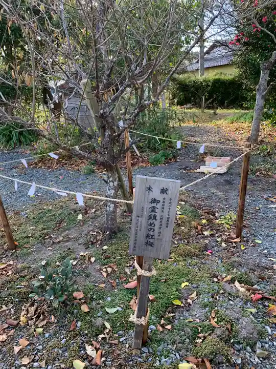 久之浜諏訪神社の自然