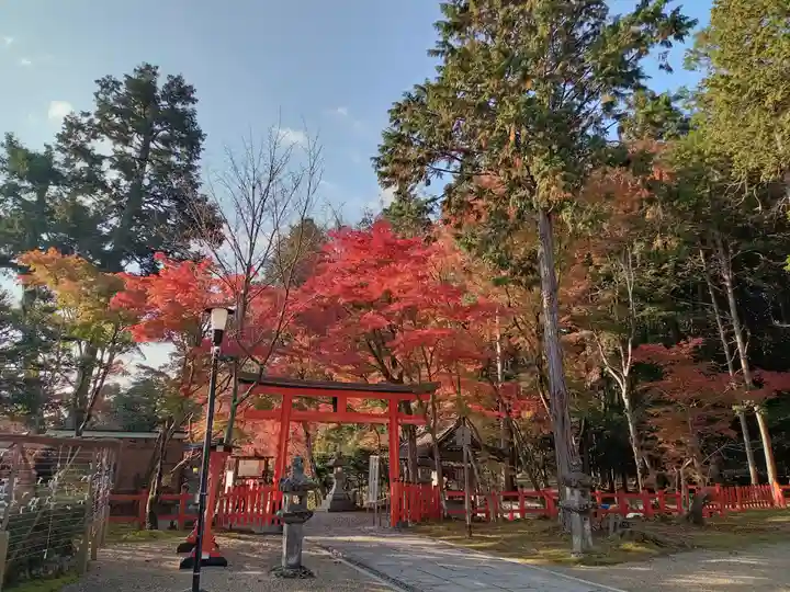大原野神社(京都府)