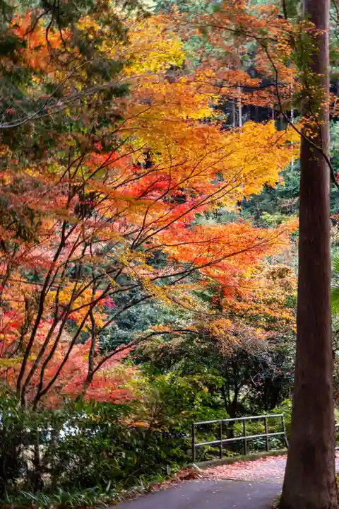 大矢田神社(岐阜県)