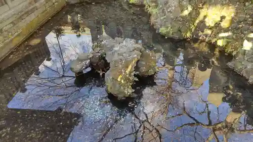 成田山新勝寺の庭園