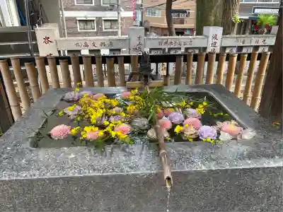 高円寺氷川神社(東京都)
