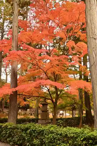 真正極楽寺（真如堂）(京都府)