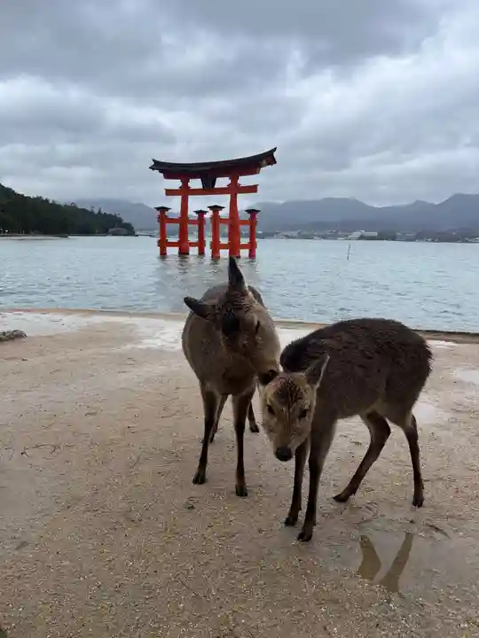 厳島神社(広島県)