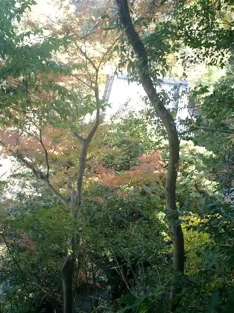 安國論寺(安国論寺)の自然