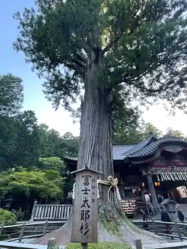 北口本宮冨士浅間神社の自然