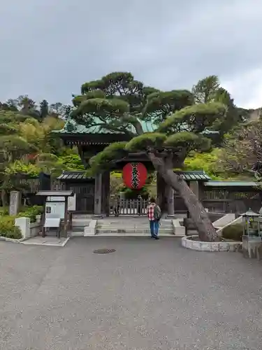 長谷寺(神奈川県)