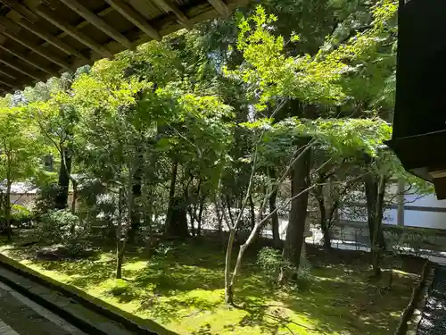 龍安寺(京都府)