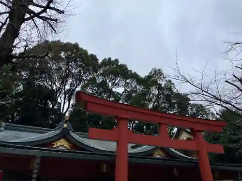日枝神社(東京都)
