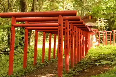 天命稲荷神社(長野県)