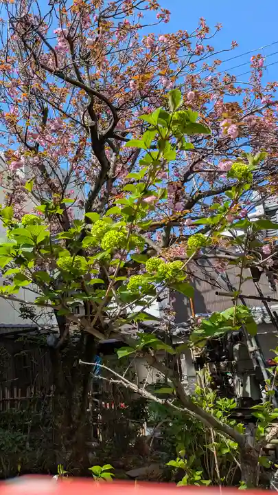 宝蔵寺(京都府)