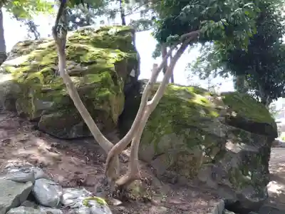 飯部磐座神社(福井県)