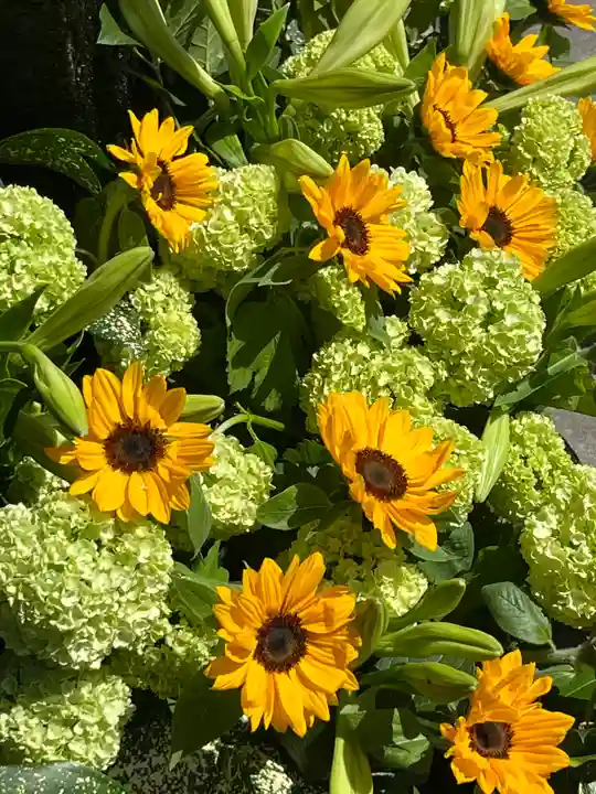 上尾御嶽神社の手水舎
