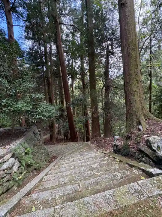 飛鳥川上坐宇須多岐比売命神社の{uncategorized: "未分類", other: "その他", undefined: "問題あり", building: "その他建物", grave: "お墓", sacred_gate: "鳥居", guardian: "狛犬", statue: "像", buddha: "仏像", history: "歴史", nature: "自然", garden: "庭園", animal: "動物", pagoda: "塔", temizu: "手水舎", mountain_gate: "山門・神門", sanctuary: "本殿・本堂", subordinate: "末社・摂社", art: "芸術", scenery: "景色", jizo: "地蔵", ema: "絵馬", goshuin: "御朱印", omikuji: "おみくじ", items: "授与品その他", amulet: "お守り", goshuincho: "御朱印帳", eats: "食事", festival: "お祭り", votive_dance: "神楽", shichigosan: "七五三参", wedding: "結婚式", experience: "体験その他", initially: "初詣", around: "周辺", anti_infection: "感染症対策"}