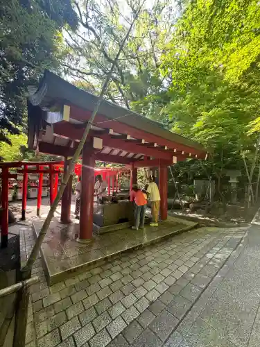 來宮神社(静岡県)