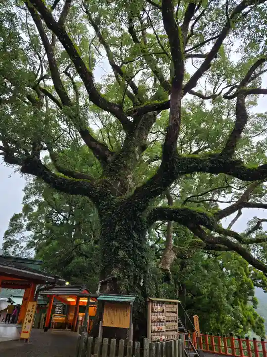 熊野那智大社(和歌山県)