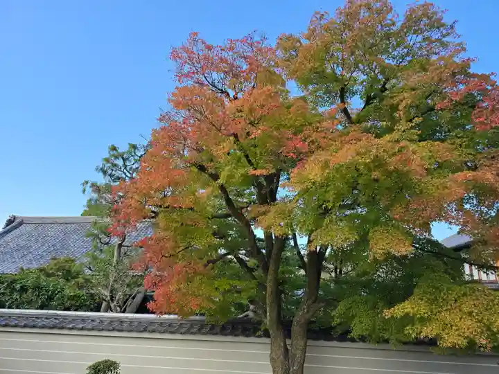 後白河院御聖蹟 法住寺(京都府)