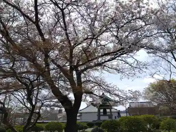 福井別院本瑞寺(福井県)
