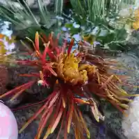 滑川神社 - 仕事と子どもの守り神の手水舎