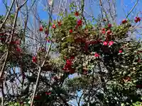 瑠璃光院薬師堂(東京都)