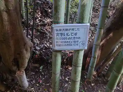 瀧川神社のその他建物